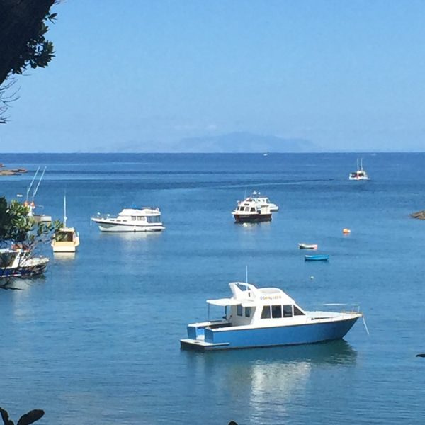 Elizabeth Allan Leigh