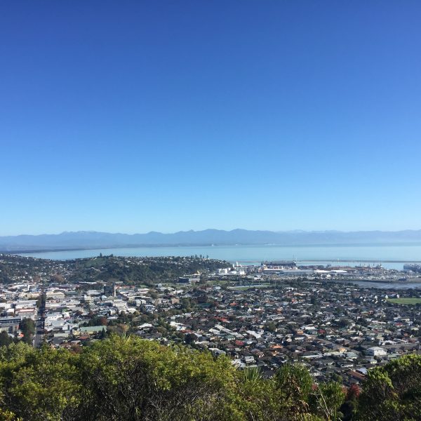 Elizabeth Allan Nelson