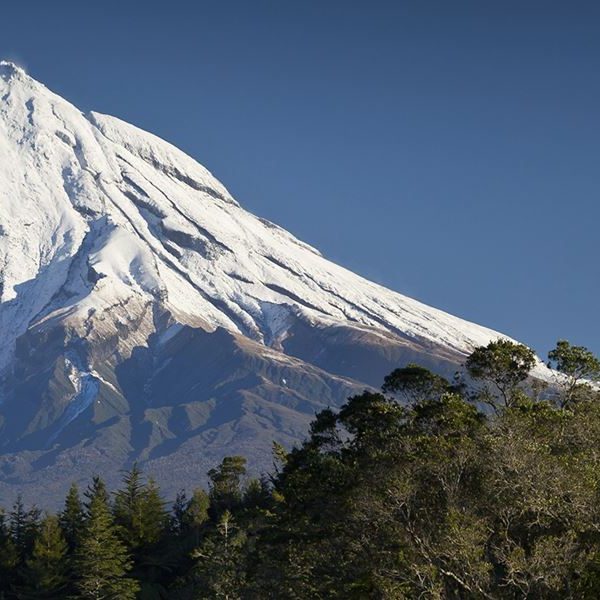Elizabeth Allan New Plymouth