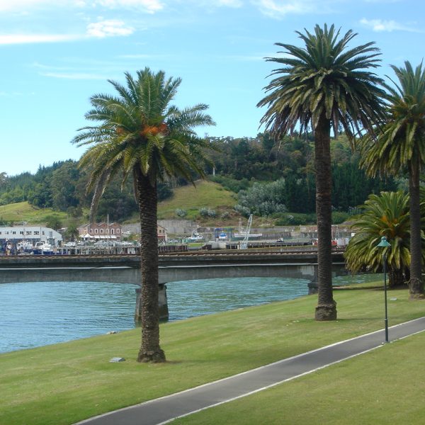 Gisborne